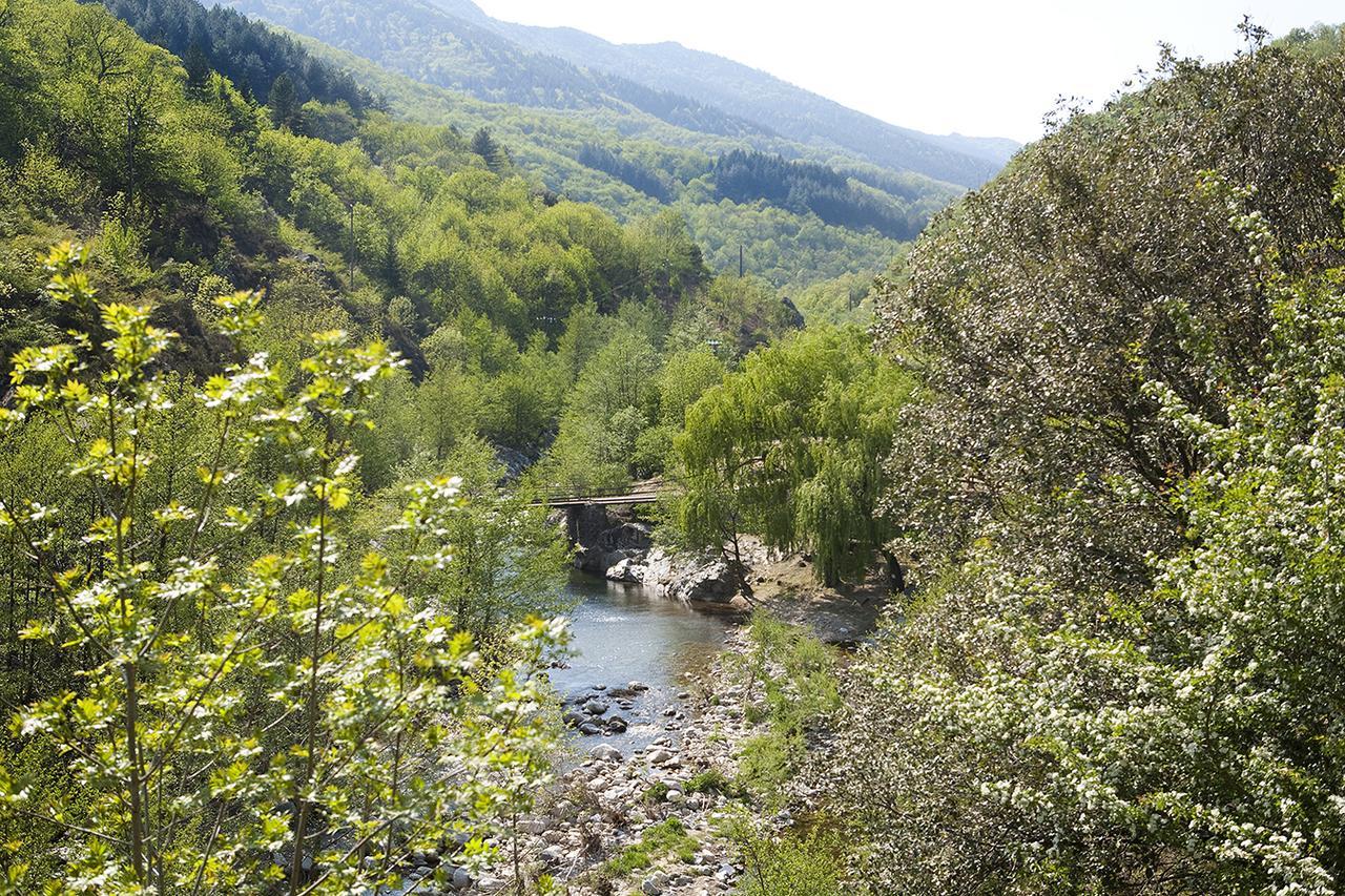 Logis Hotel-Restaurant Le Tanargue Valgorge Oda fotoğraf